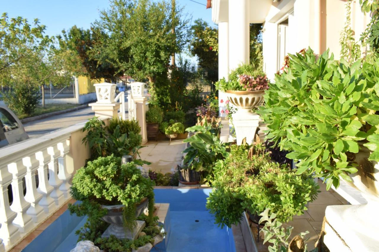 Five Stars In Trikala Leilighet Eksteriør bilde